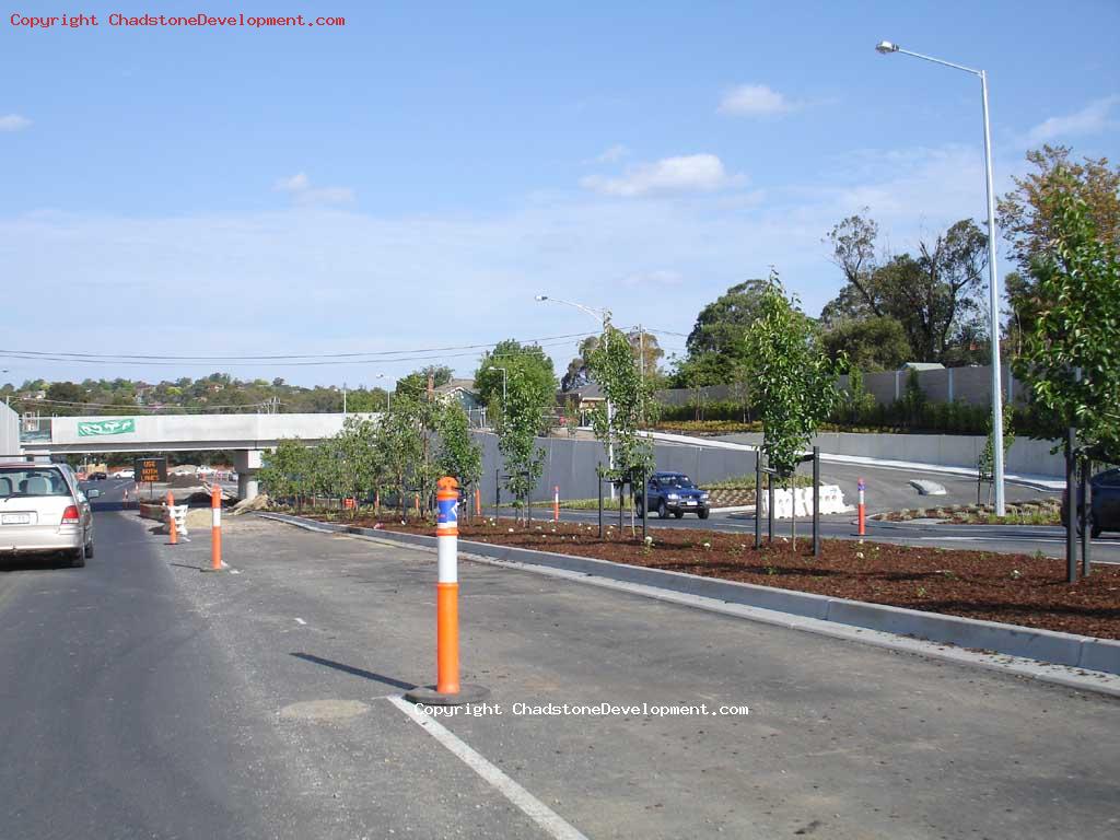 Trees on Middle Road median strip - Chadstone Development Discussions