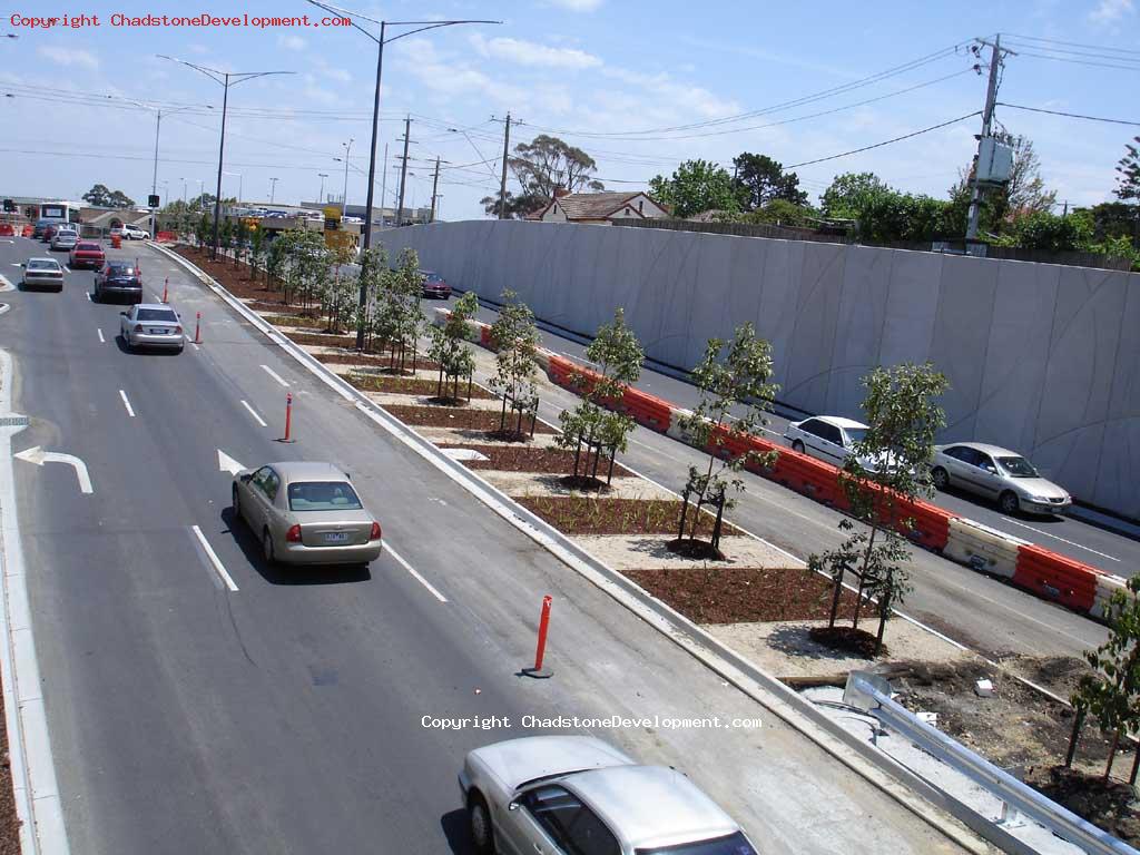 Trees for Middle Road (Chadstone End) - Chadstone Development Discussions